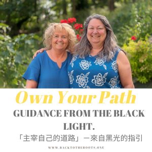 OWN YOUR PATH  - Guidance from the Black Light