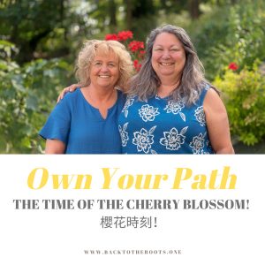 OWN YOUR PATH - The Time of the Cherry Blossom
